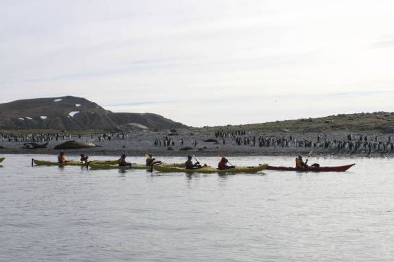 Nosso grupo rema ao lado da praia em Gold Harbour, na Geórgia do Sul